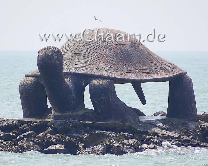 หาดปึกเตียน จังหวัดเพชรบุรี